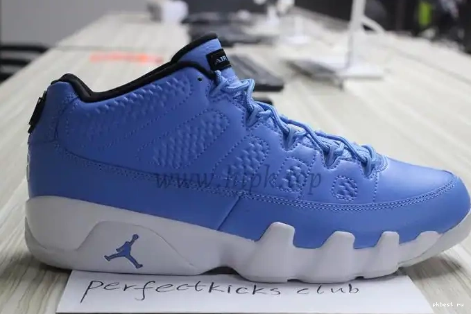 Authentic Low Jordan 9 Pantone Air 0502